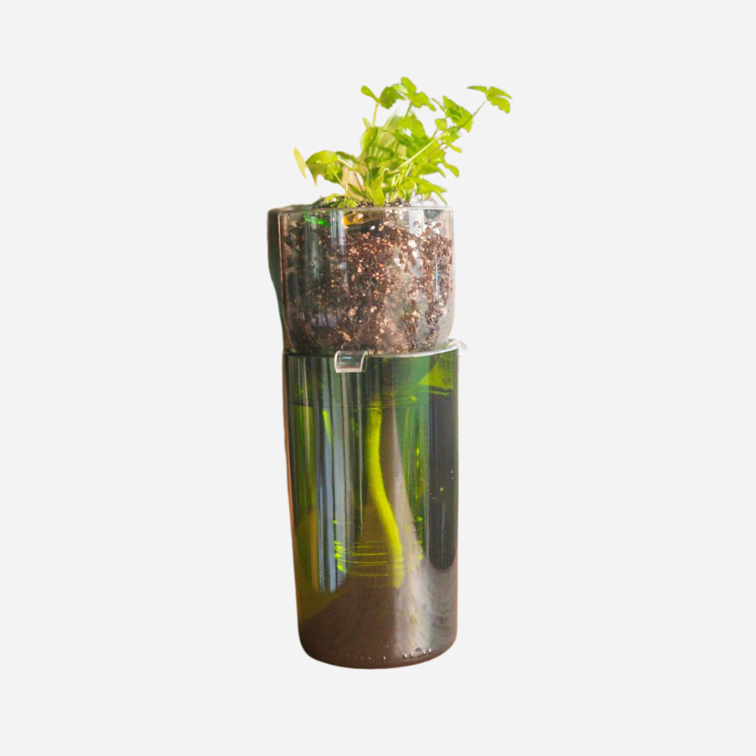 Revive Glassworks - Self Watering Planters