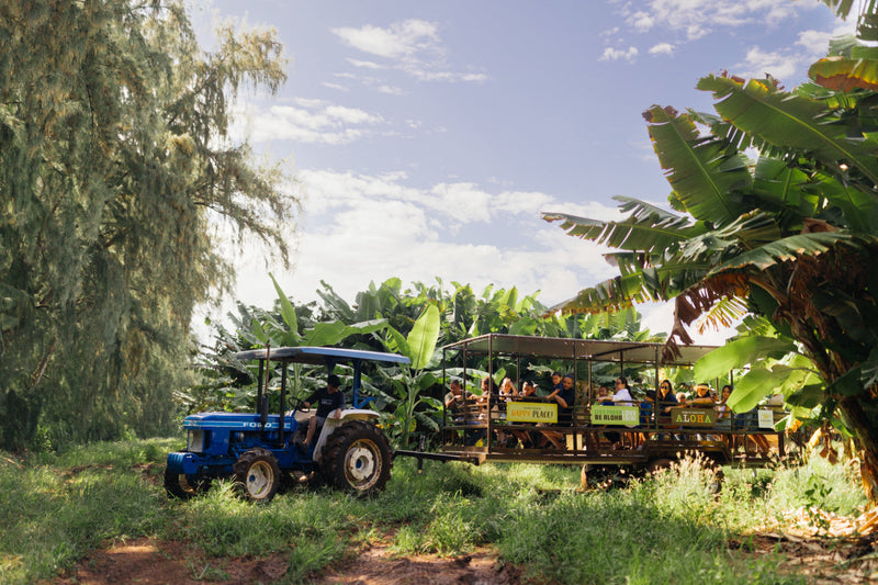 A farm tour at Kahuku Farms on the North Shore of Oahu.