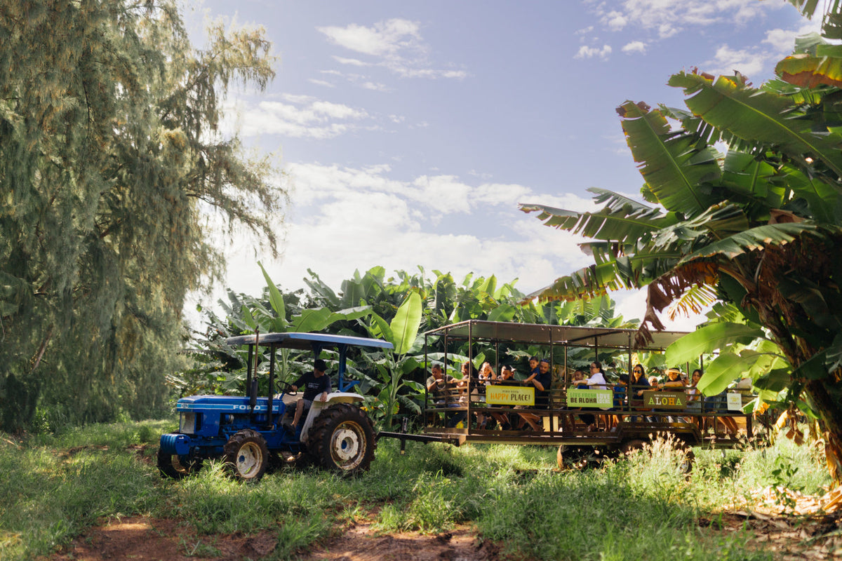 A farm tour at Kahuku Farms on the North Shore of Oahu.