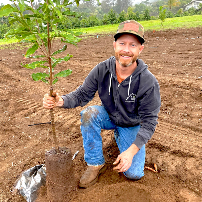 Ahualoa Family Farms