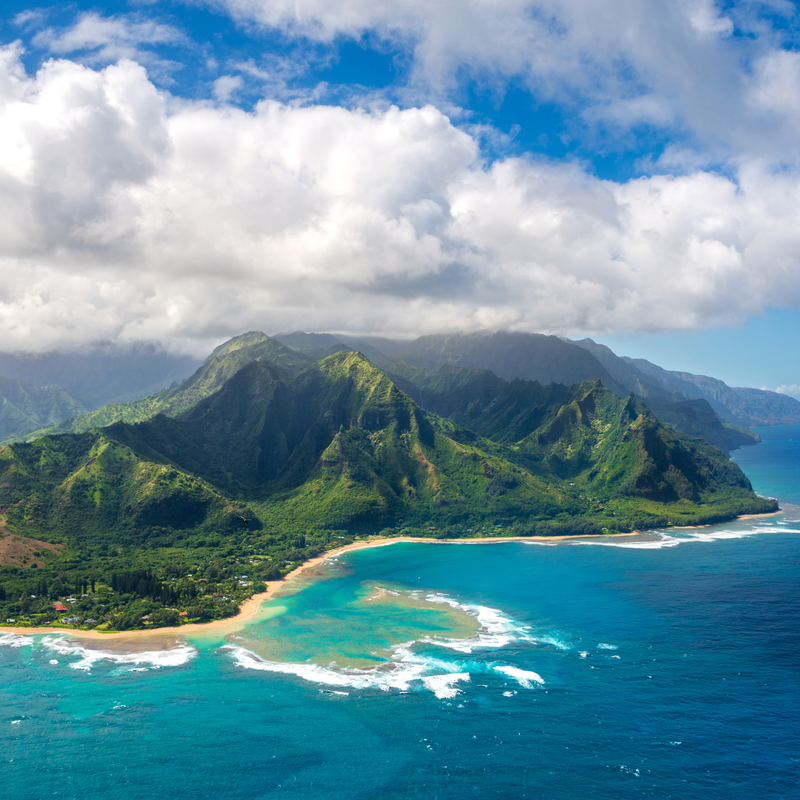 Native Hawaiian Owned