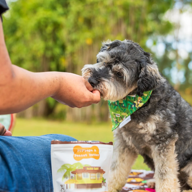 For Your Pet