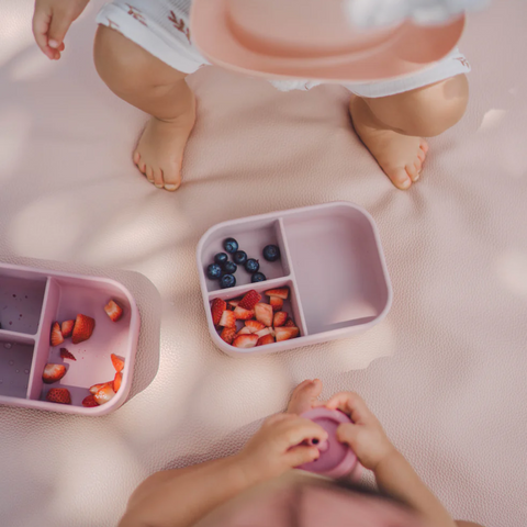 Ava + Oliver - Bento Box - Mauve