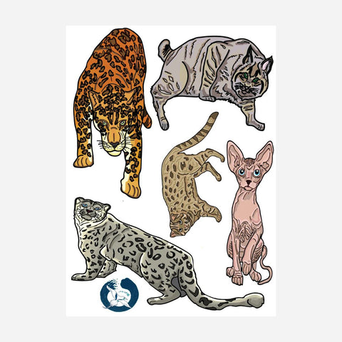 Advance Wildlife Education - Cats Educational Coloring Book