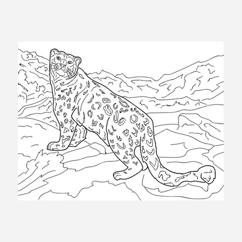 Advance Wildlife Education - Cats Educational Coloring Book