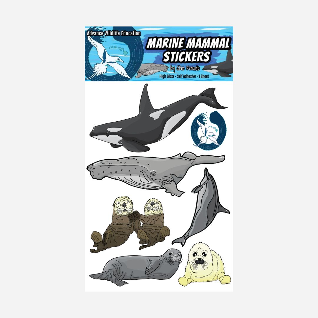 Advance Wildlife Education - Colored Stickers - Marine Mammals