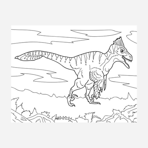 Advance Wildlife Education - Dinosaur Educational Coloring Book