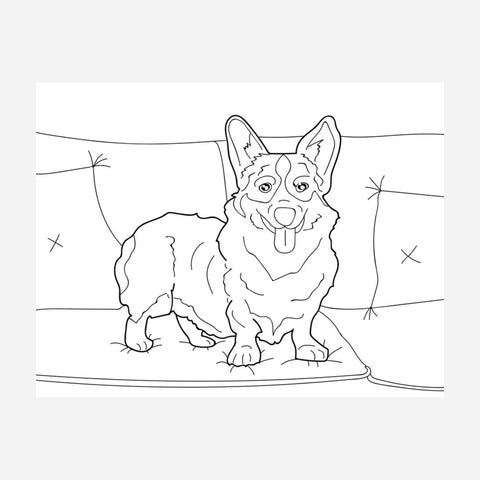 Advance Wildlife Education - Dogs Educational Coloring Book