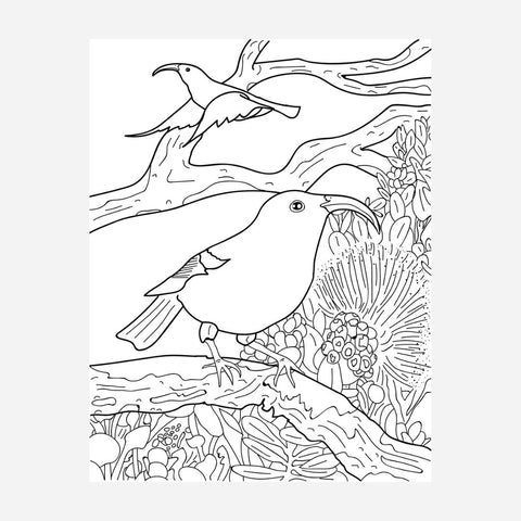 Advance Wildlife Education - Native Hawaiian Wildlife Coloring Book (English/Olelo)
