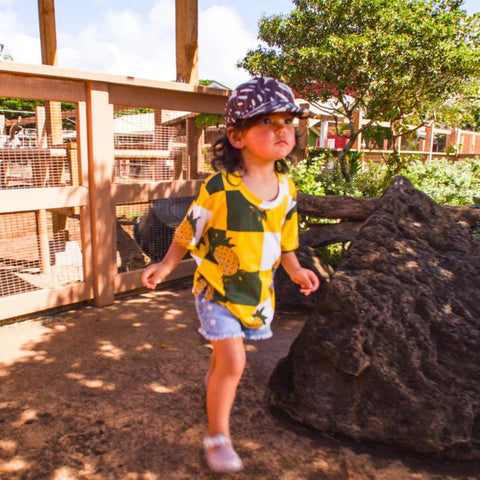 Alikaleo Park - Coconut Crushable Hat