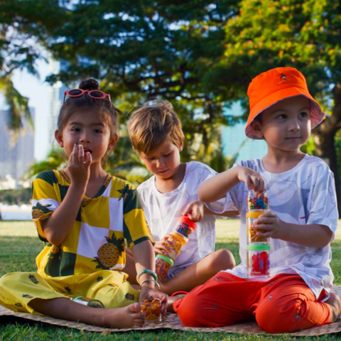 Alikaleo Park - Rainbow Park Snacker