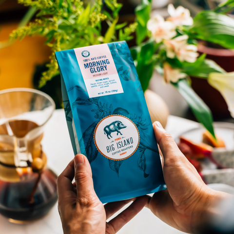 Person holding a blue 'Morning Glory' coffee package with a plant and coffee-making equipment in the background.