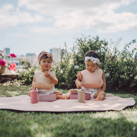 Ava + Oliver - Bento Box - Mauve