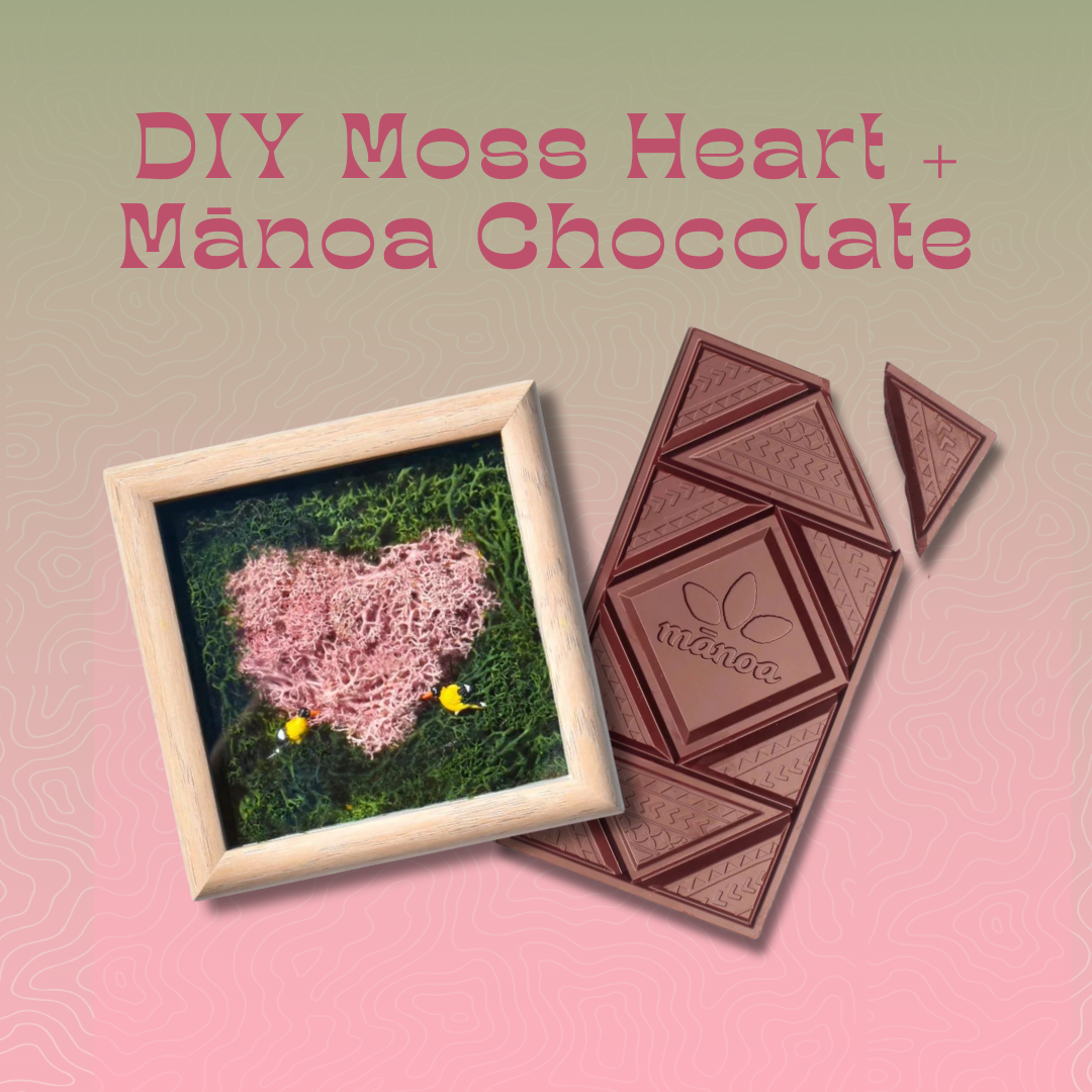 Valentine's Day DIY Moss Art Kit & Mānoa Chocolate (for workshop at Prince Waikiki)