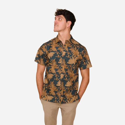 David Shepard - Hapuu Fern - Brown