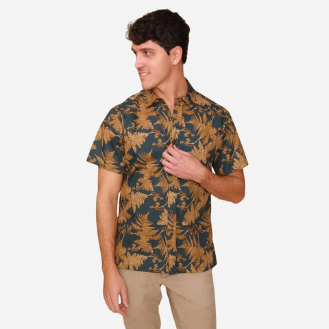 David Shepard - Hapuu Fern - Brown