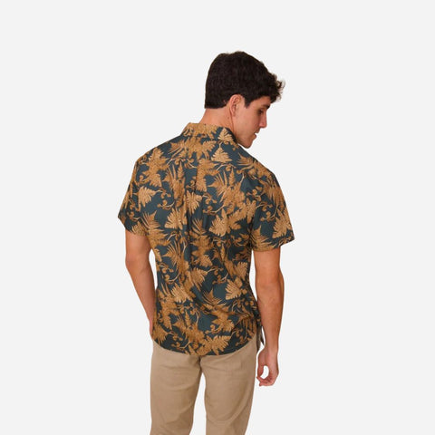 David Shepard - Hapuu Fern - Brown