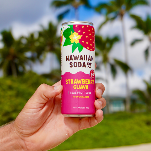 Hand holding a can of Hawaiian Soda Co. Strawberry Guava soda with palm trees in the background