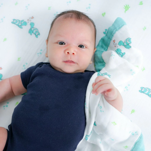 Coco Moon - Security Blanket - Honu Honi