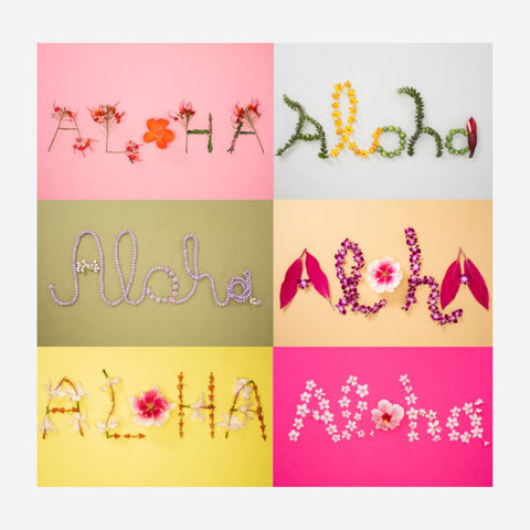 Lola Pilar - Aloha Greeting Cards Pack (6)