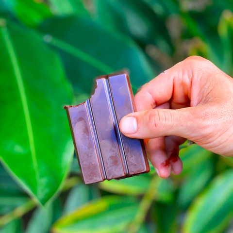 Malama Mushrooms - Mushroom Chocolate Bar - 35g