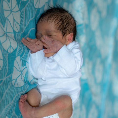 Keiki Dept - Lei Anuenue tote + Blue Mauka Kalo Kapa Moe