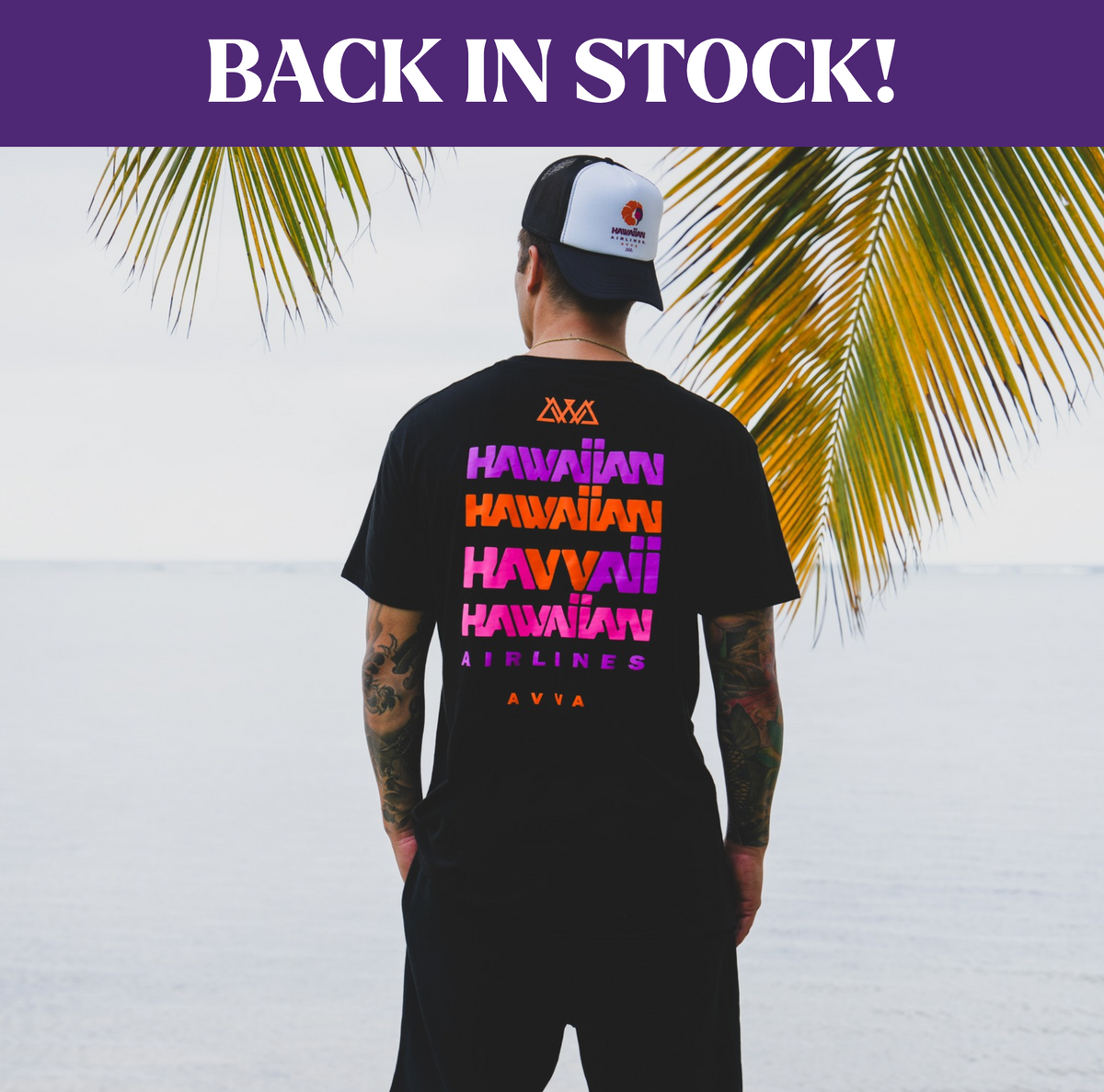 BACK IN STOCK - USE CODE SHOWCASE10 for 10% OFF