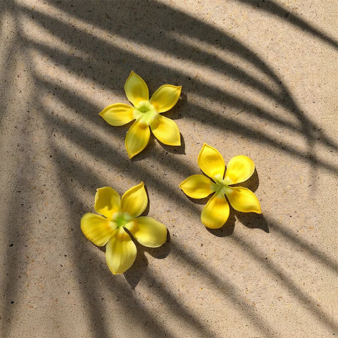 Three yellow flowers on a sandy surface with shadow patterns