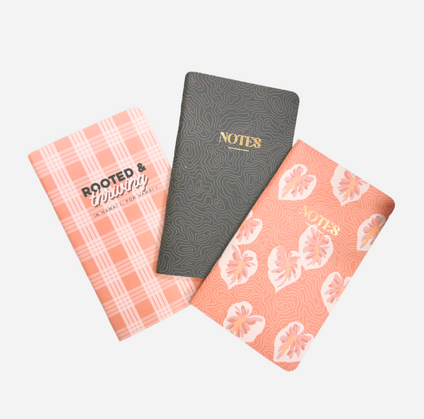 Three slim notebooks with rounded corners arranged in a fan shape on a light gray background.