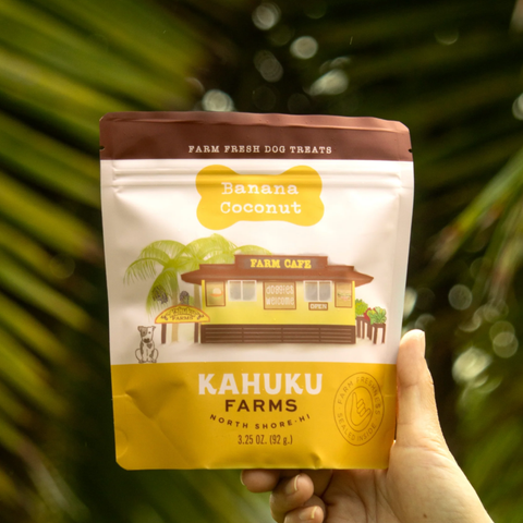 Hand holding a package of Kahuku Farms Banana Coconut dog treats against a blurred green leafy background