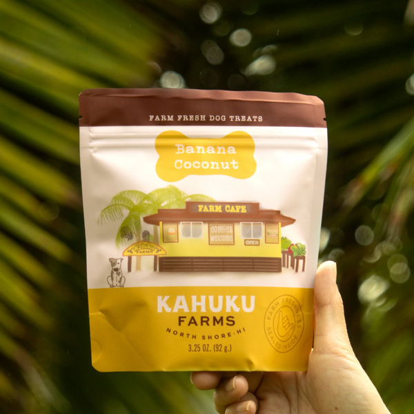 Hand holding a package of Kahuku Farms Banana Coconut dog treats against a blurred green leafy background