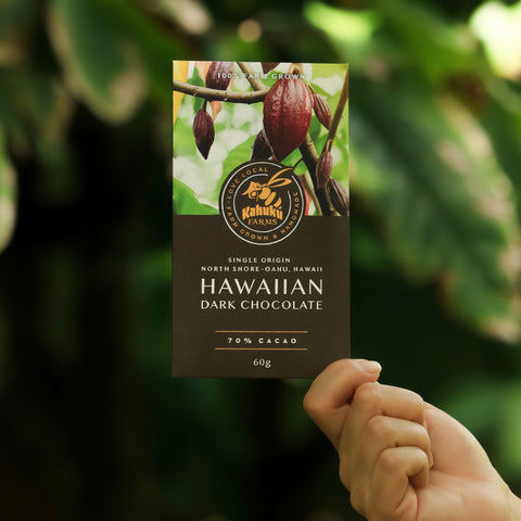 Hawaiian dark chocolate bar with cacao beans on a blurred green background