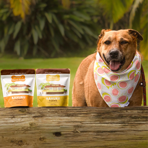 Dog wearing a bandana with Kahuku Farms packages in the foreground