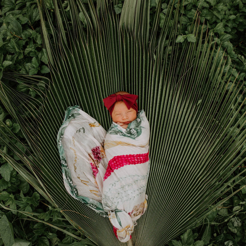 Newborn baby wrapped in a colorful blanket with a red bow, lying on a large green leaf.