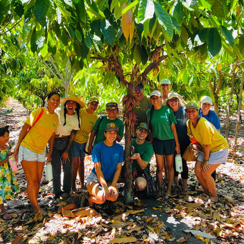 Group of people posing among cacao trees on a farm