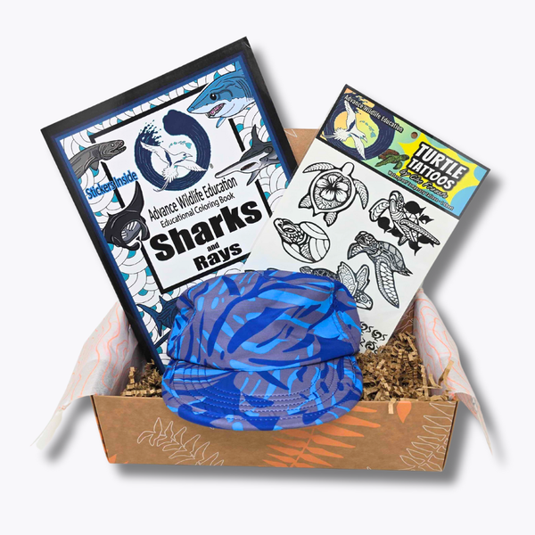 under the sea discovery house of mana up gift ste