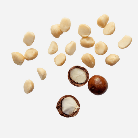 Island Harvest - Organic Macadamias Unsalted - 8 oz.