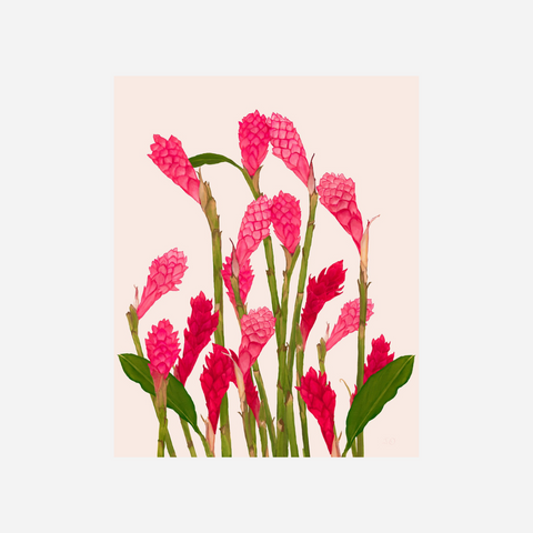 Aloha de Mele - Ginger Bloom Art Print